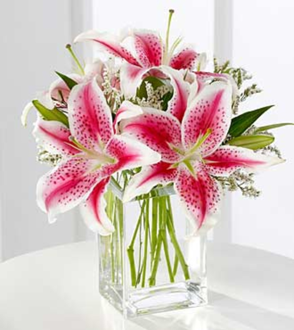 Admirable Pretty Lilies