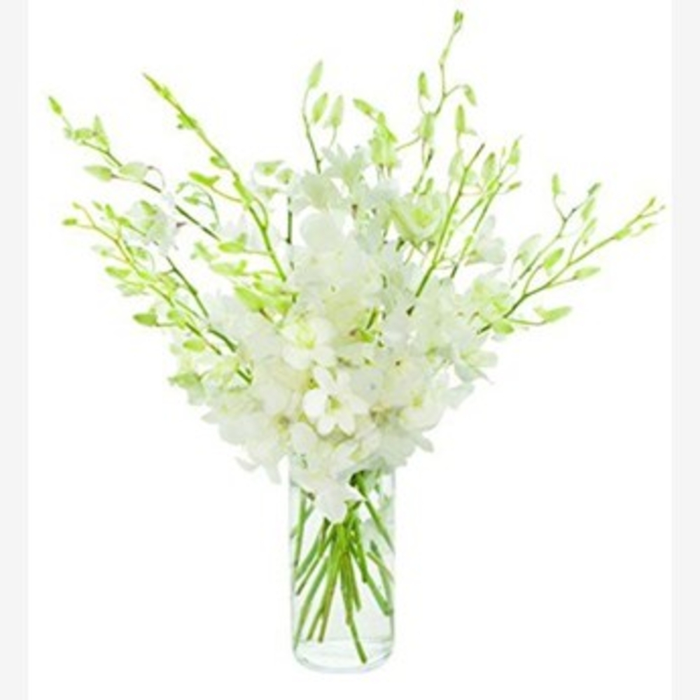 Vase with 20 White Orchids