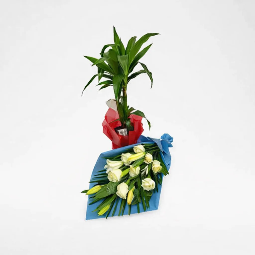 dracaena-rikki-plant-and-flowers-combo