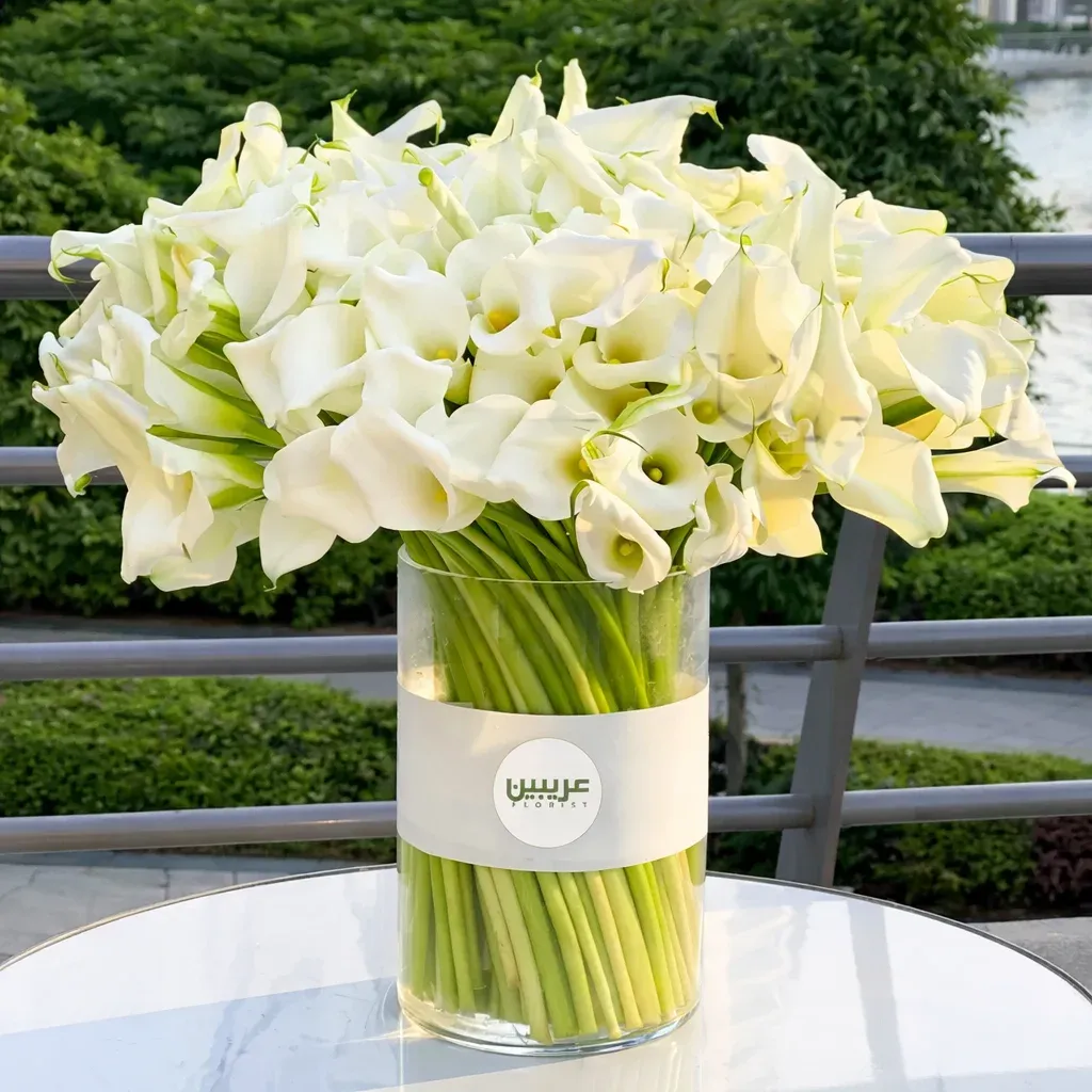 30 Stems of Calla Lilies in a Vase
