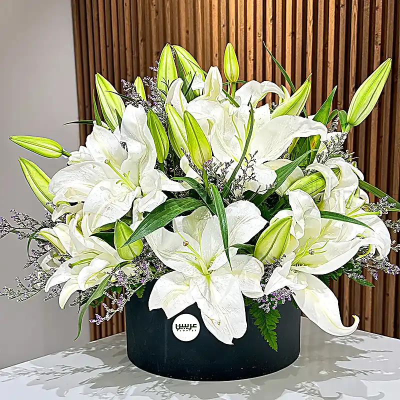 6 Bloom White Lilies in a Box
