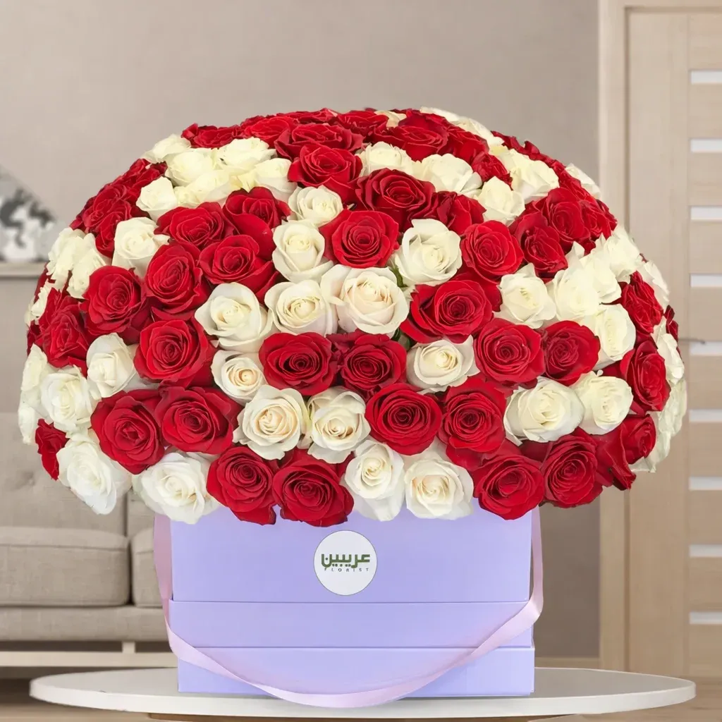 Box of 150 Red & White Roses with Fillers