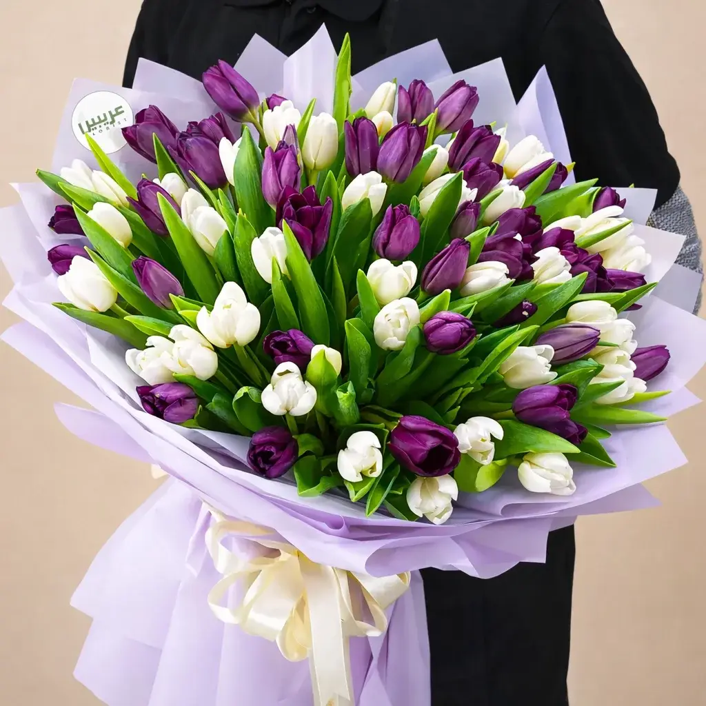 Bouquet of 80 Purple & White Tulips